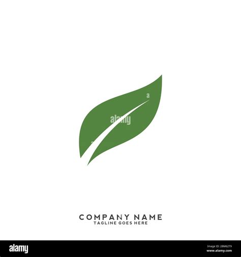 Eco Icon Green Leaf Vector Illustration Isolated Eco Icon Green Leaf