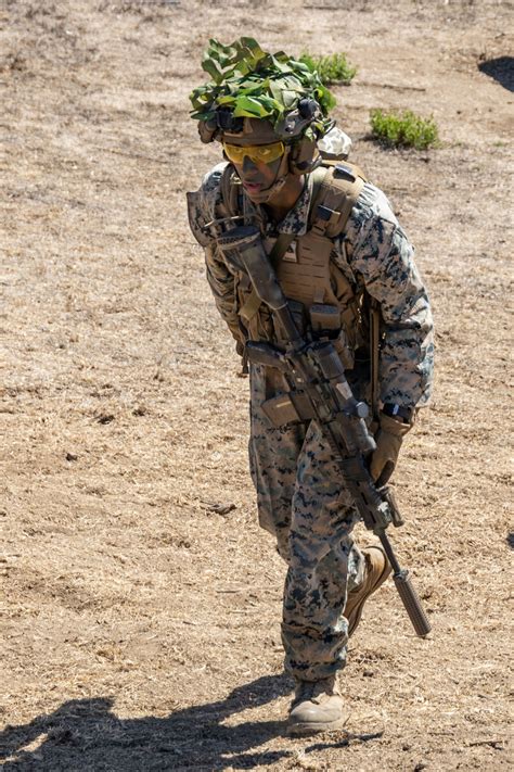 Dvids Images 1st Bn 4th Marines Conduct Field Training Image 11