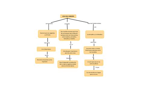 Mapa Conceptual Ciclo Del Carbono Ya Que Es M S Soluble En El Agua