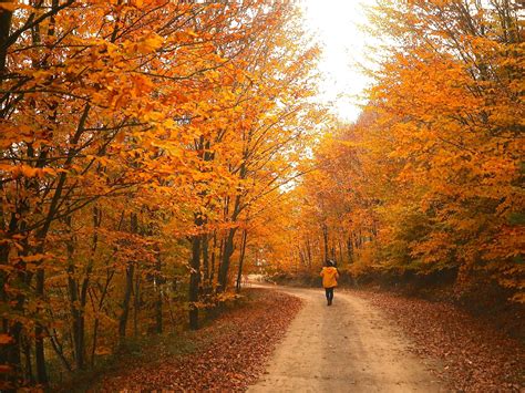 Autumnal Equinox 2017 Gorgeous Pictures To Celebrate The Arrival Of Fall