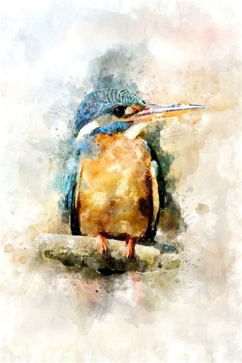 Kingfisher Watercolor Illustration Portrait Stock Illustration