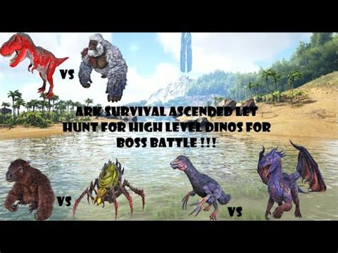 Ark Survival Ascended Time To Hunt For High Level Dinos For Boss