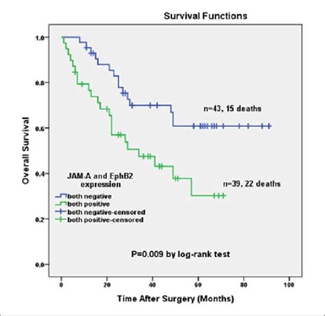 Cumulative Survival Curves Of Jam A And Ephb Both Negative And Both