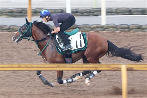 【中京記念・山下の特注馬】アルナシームが今度こそ 小倉大賞典のリベンジマッチ Umatoku 馬トク