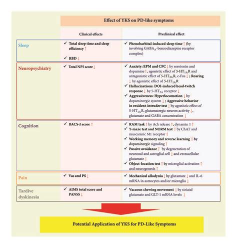 Schematic Flow Diagram Of The Effects Of YKS On PD Like Symptoms