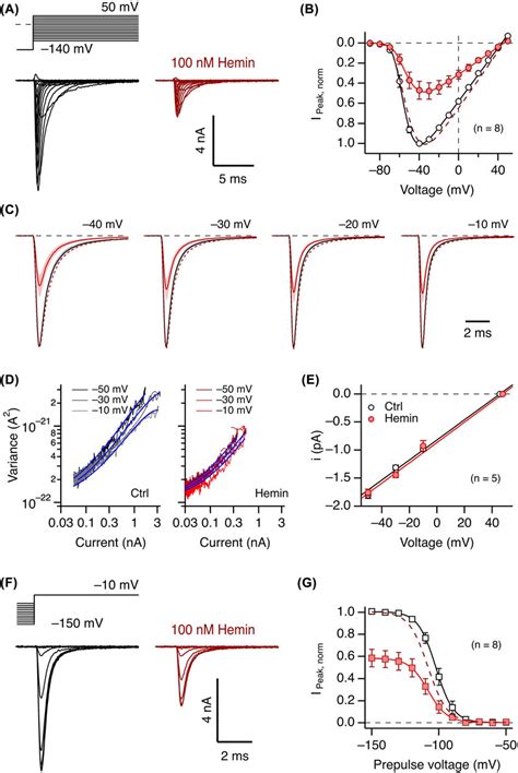 Voltage Dependence Of Activation And Inactivation A Representative