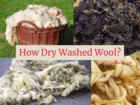 How Do You Dry Raw Wool After Washing It? – woolmaven.com