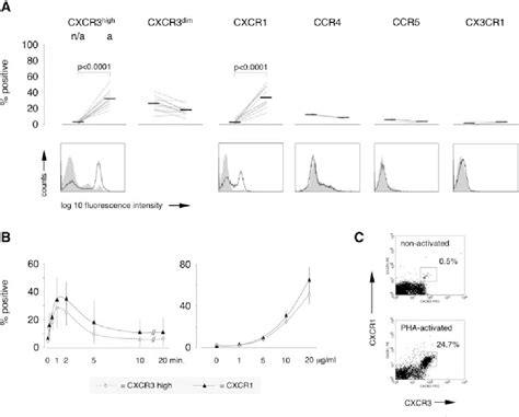 Figure 1 From Cyclooxygenase Regulates Cell Surface Expression Of Cxcr3