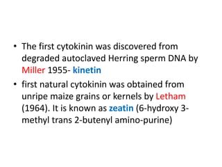 ROLE OF CYTOKININS IN RETARDING LEAF SENESCENCE | PPT