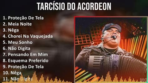 Tarc Sio Do Acordeon Mix Maiores Sucessos Prote O De Tela Meia