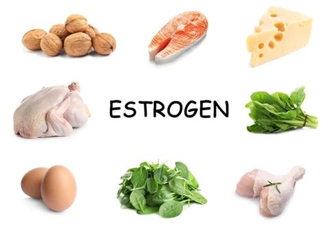 Balancing Hormones Discovering Foods High In Estrogen