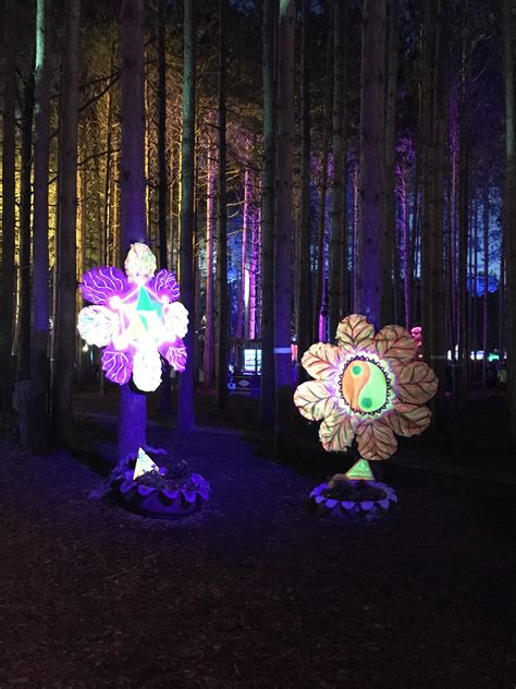 Best Electric Forest Images On Pholder Electric Forest