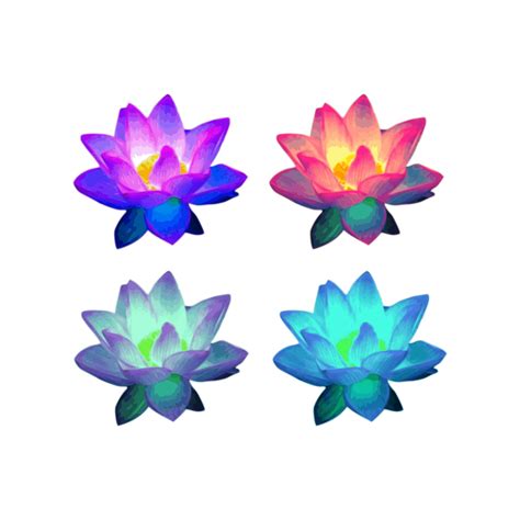 Lotus clipart 20 free Cliparts | Download images on Clipground 2024