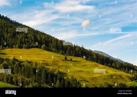 Wiesen und Wälder Panorama auf Berge in den österreichischen Alpen