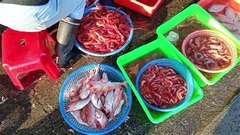 極鮮 剛卸貨 紅喉魚 馬頭魚 各式海鮮 大溪漁港 Just Unloaded From Fish Boat So Fresh Seafood