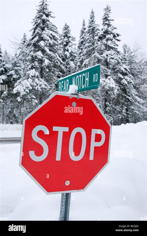 Snow covered stop sign hi-res stock photography and images - Alamy