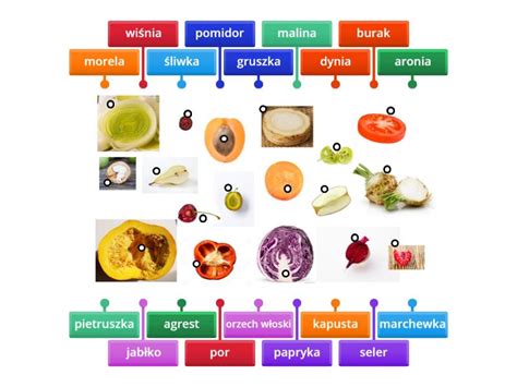 Jesienne Dary Sadu I Ogrodu Labelled Diagram