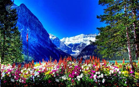 Banff National Park Wallpapers - Wallpaper Cave