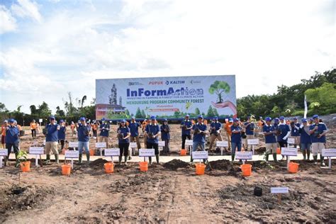 Kurangi Karbon Pkt Tanam Pohon Pulihkan Lahan Bekas Tambang