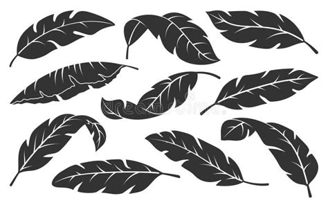 Tropical Palm Leaves Black Leaf Exotic Foliage Set Stock Vector