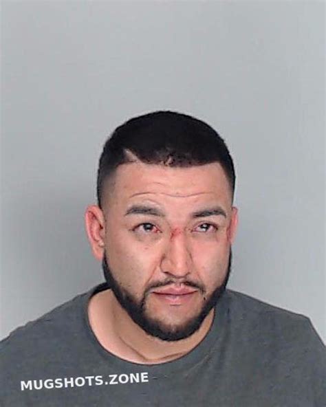 Nava Sergio Nueces County Mugshots Zone