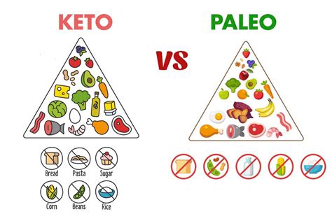 Our 15 Favorite Ketogenic Diet Vs Paleo Of All Time Easy Recipes To Make At Home