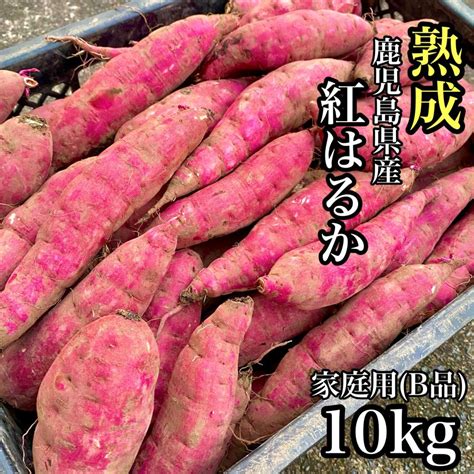 本場鹿児島 焼き芋屋が送る 訳あり 熟成さつまいも 10kg 選べる品種【紅はるか・紅まさり】サツマイモ 5kg以上 2023080906