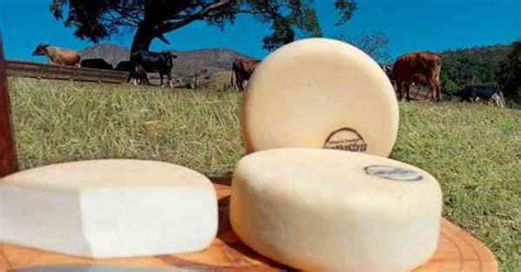 Queijo Canastra Considerado O Melhor Do Mundo Gerais Estado De Minas