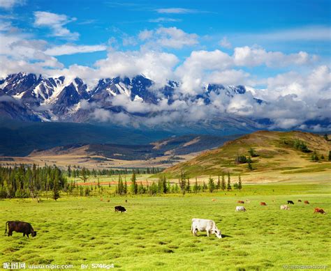 草原摄影图 山水风景 自然景观 摄影图库 昵图网