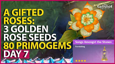 Plant Golden Rose Seeds For Genshin Impact Sumeru 31