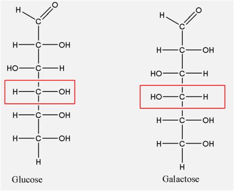 Glucose Vs Galactose Structure