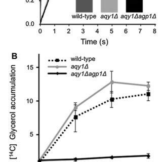 A Novel Yeast Strain Of P Pastoris That Is Impermeable For Water