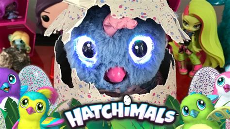 Hatchimal Eye Color Chart A Visual Reference Of Charts Chart Master