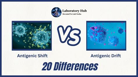 Antigenic Shift vs Antigenic Drift- 20 Differences