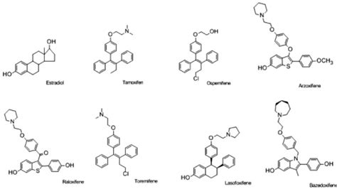 Chemical Structure Of Estradiol And Selective Estrogen Open I