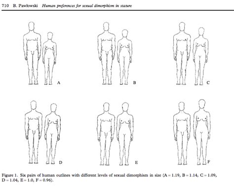 What Is The Optimal Or “perfect” Height Ratio And Difference For