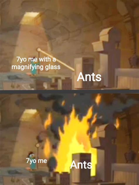 F To The Ants I Burned When I Was 7 Rmemes