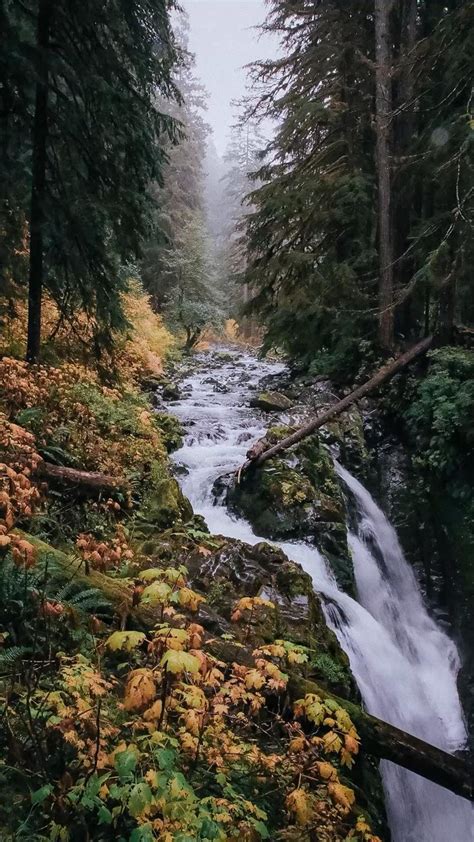 PNW Aesthetic Pacific Northwest Travel Photography Travel Aesthetic