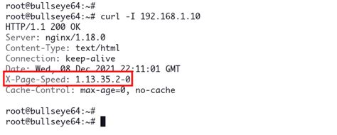 C Mo Configurar Nginx Con El M Dulo Google Pagespeed En Debian