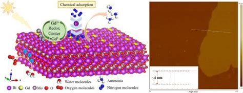 二维钼酸铋纳米片中钆掺杂对光催化氮还原反应的氧化还原调控 Applied Surface Science X Mol