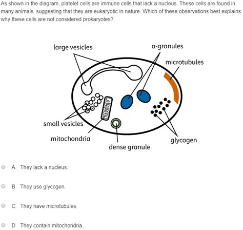 Solved As shown in the diagram, platelet cells are immune | Chegg.com