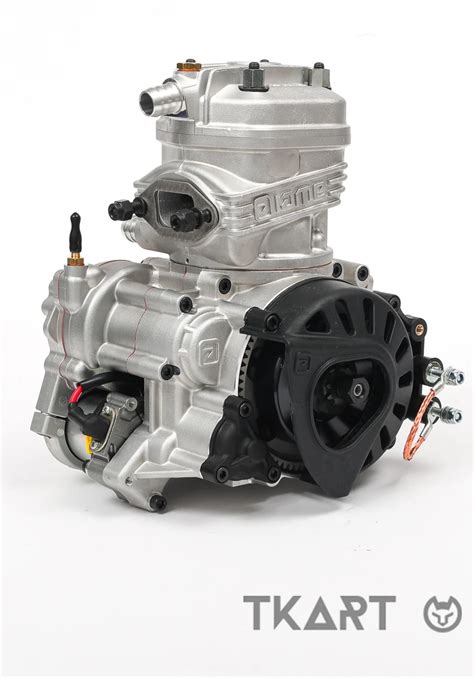 X30 125 Cc The Premier Kart Engine In The IAME Series Single Brand