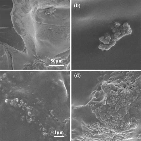 SEM Images Of Uio 66 Cellulose Composite Hydrogels A U 0 B U 5 C