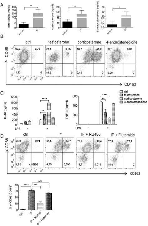 Corticosterone Polarizes Macrophages Toward The M Macrophage