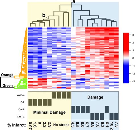 Heatmap Of Hierarchical Clustering Of Differentially Regulated Proteins