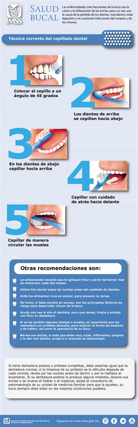 Infograf A Salud Bucal T Cnica Correcta Cepillado Dental