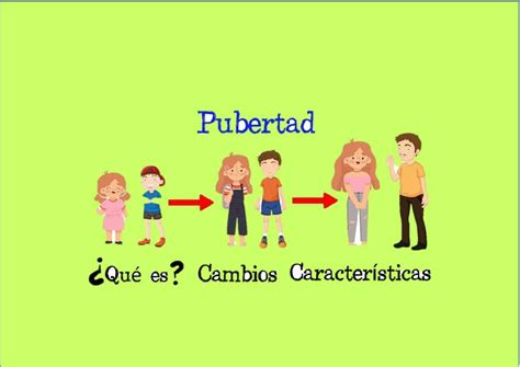 Pubertad Mapa Conceptual Jimena Alexandra Udocz