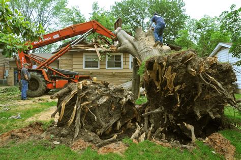 Will Homeowners Insurance Covers Tree Removal