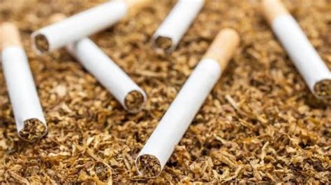 Harga Rokok Eceran Makin Mahal Ini Rincian Patokan Resmi 2025 Dari