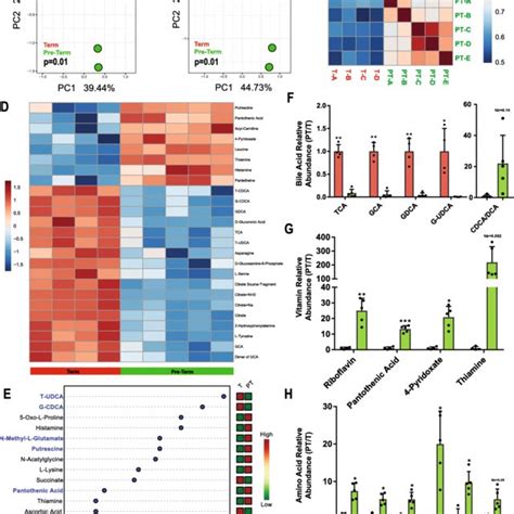 Kegg Metabolomic Pathway Analysis Showing Significantly Enriched